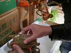 -洪沟崖张记炒鸡店(聚才路店)