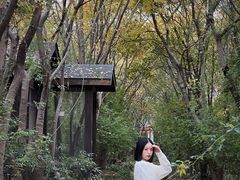 -鹅湖玫瑰文化园