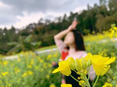-红山村