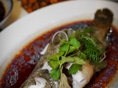 清蒸石斑鱼-白云中餐厅·粤菜·亚龙湾喜来登度假酒店