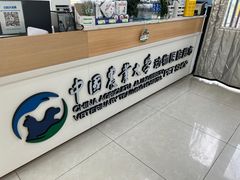 -中国农业大学动物医院