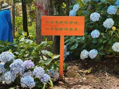 -寂照庵