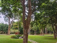 -中国科学院西双版纳热带植物园