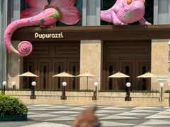 -帕帕拉兹宠物(亚洲旗舰店)