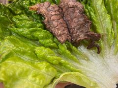 -三通阁石板烤肉