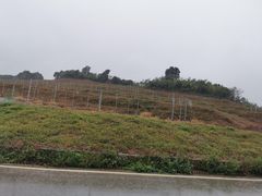 -光明小镇欢乐田园