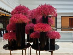 -云庭咖啡厅· 中航泊悦酒店(虹桥T2店)