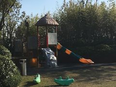 -上海崇明金茂凯悦酒店