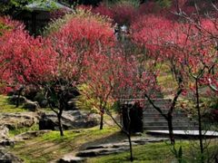 -桃花涧