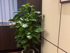 -聚宾楼·烤鸭·家宴(科技三路店)