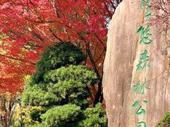 -昆山城市生态森林公园