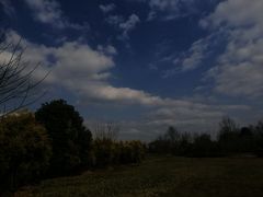 -白鹭湾湿地公园