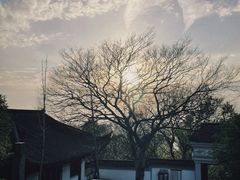 -上海佘山国家森林公园天马山园