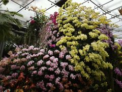 -北京植物园-展览温室