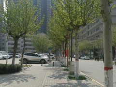 -西北大学(桃园校区)