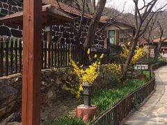 -北京水岸山吧度假村(雁栖镇店)