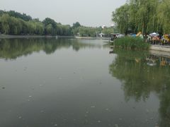 -青年湖公园水上世界
