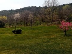 -棒棰岛宾馆景区