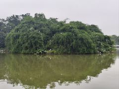 -长洲岛