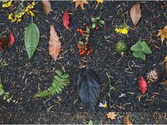 -山王坪喀斯特国家生态公园