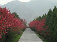 -秦始皇帝陵博物院-丽山园