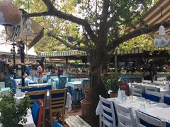 -费特希耶滑翔伞