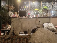-后院儿·精酿·塔罗Happy Bar