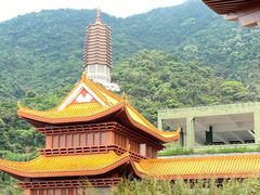 -深圳市中科院仙湖植物园