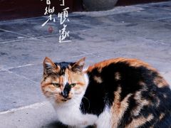 -西园戒幢律寺