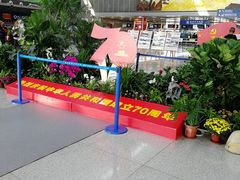 -合肥新桥国际机场-航站楼