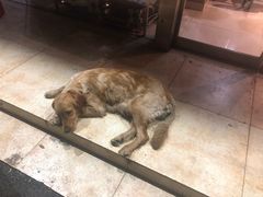 -丹东丛炟海鲜烧烤(江艺路店)