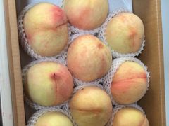 -南汇新场正宗水蜜桃采摘