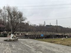 -太子山公园(园东路)