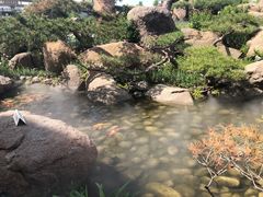 -罗红摄影艺术馆