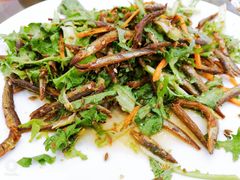 -四海鲜渔家菜(黄金海岸店)