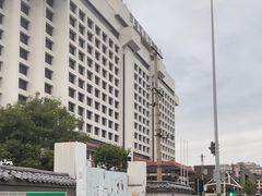 -清真李唯一优质肉丸糊辣汤
