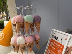 -野人先生现做冰淇淋(北京顺义祥云小镇店)