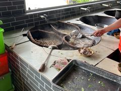 -小杨翘脚牛肉