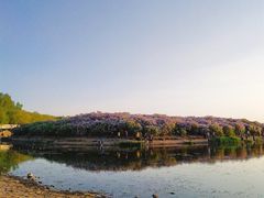 -丁香湖公园
