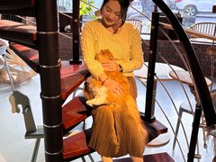 -豆逗聊愈猫阁Easy Life