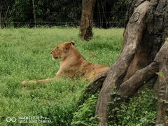 -杭州野生动物世界