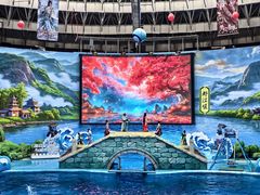 -海合安成都极地海洋公园