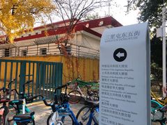 -三里屯东五街银杏大道