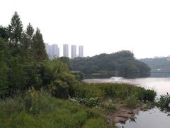 -重庆彩云湖湿地公园
