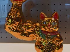 -TRACTION 运动中心(金融街店)