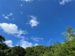 -西双版纳原始森林公园
