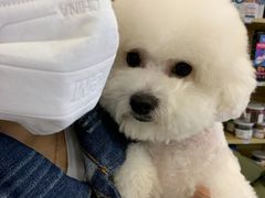 -熊小胖宠物生活馆(天华园店)