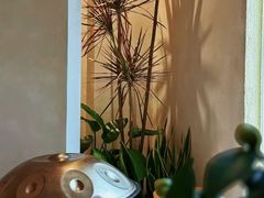 -浅森·龙凤筋SPA·私域调理