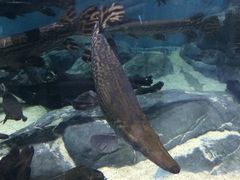 -江和美海洋公园