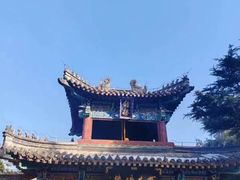 -洛阳白马寺